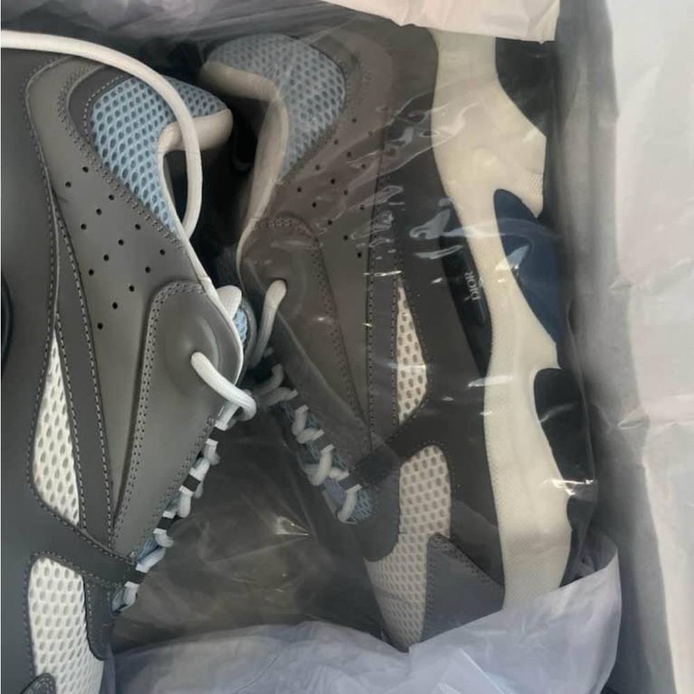Dior b22
